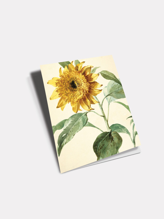 Sunflowers | General Greeting Card | Artwell