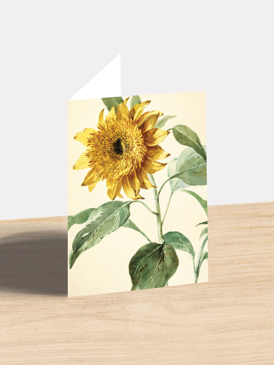 Sunflowers - 4.5 x 6.25 Card