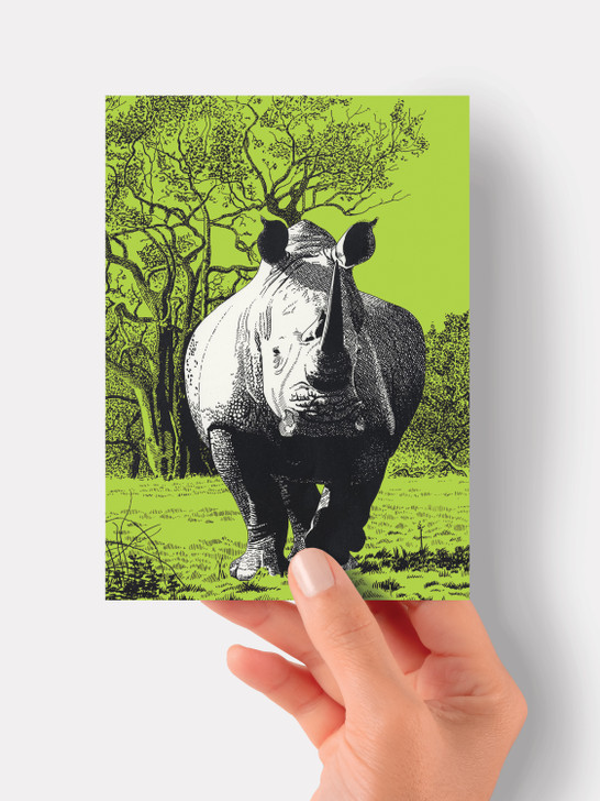 White Rhinoceros - 4.5 x 6.25 Card
