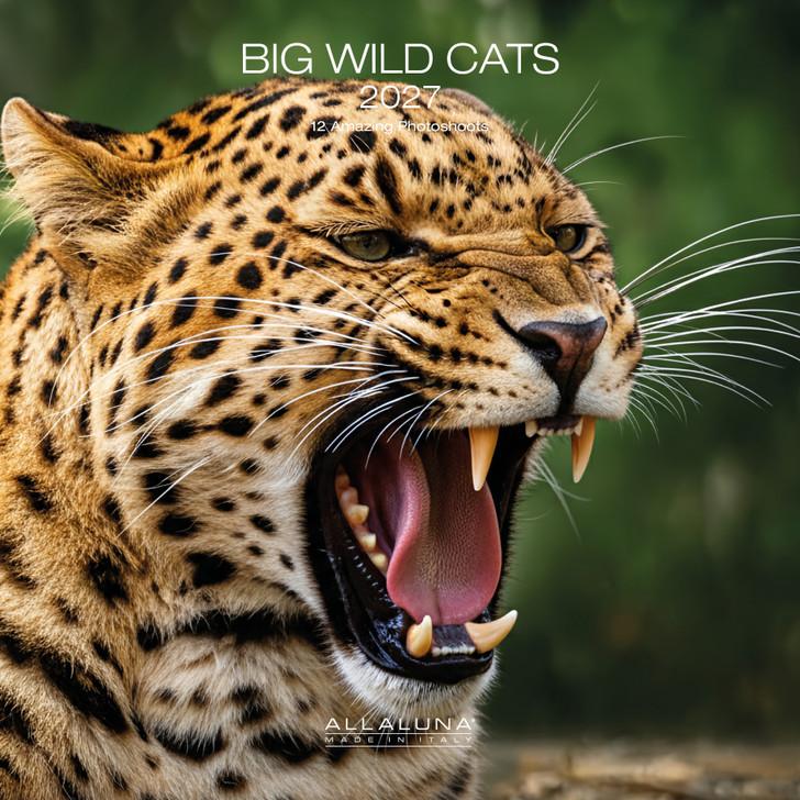 BIG WILD CATS 12 x 12 ALLALUNA CALENDAR