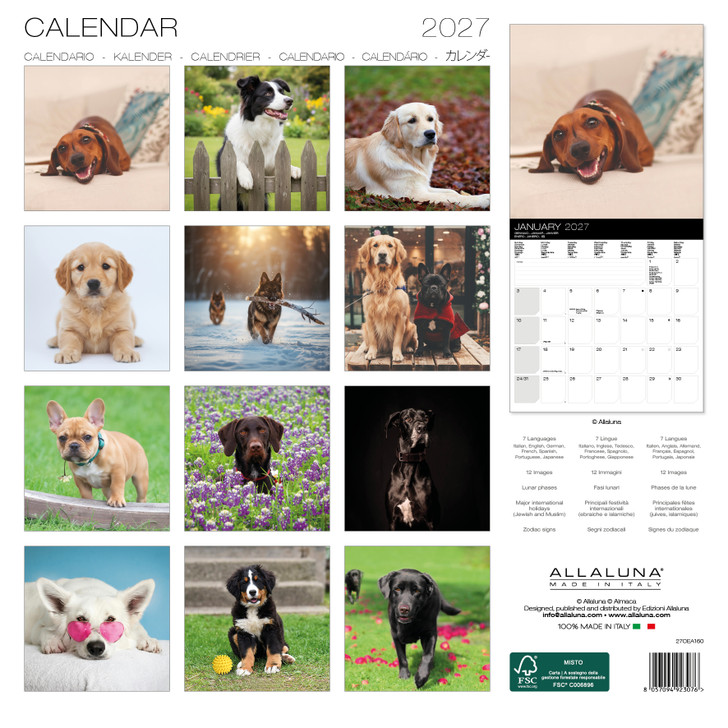 DOGS 12 x 12 ALLALUNA CALENDAR