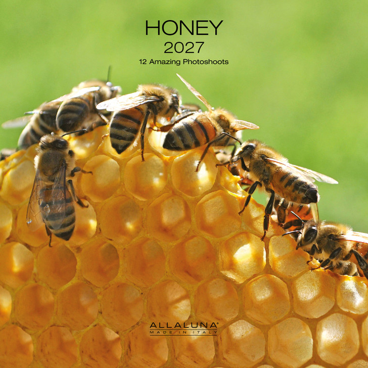HONEY 7 x 7 ALLALUNA CALENDAR