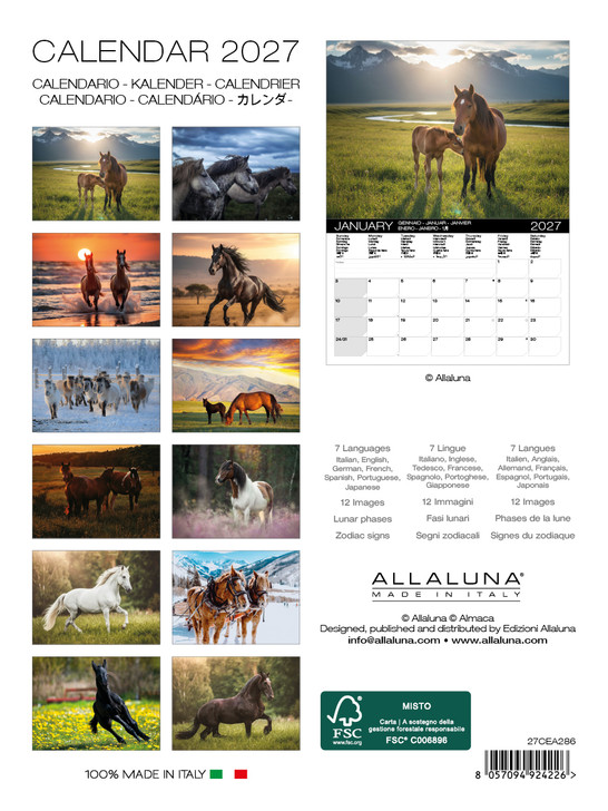 HORSES 6 x 8 ALLALUNA CALENDAR