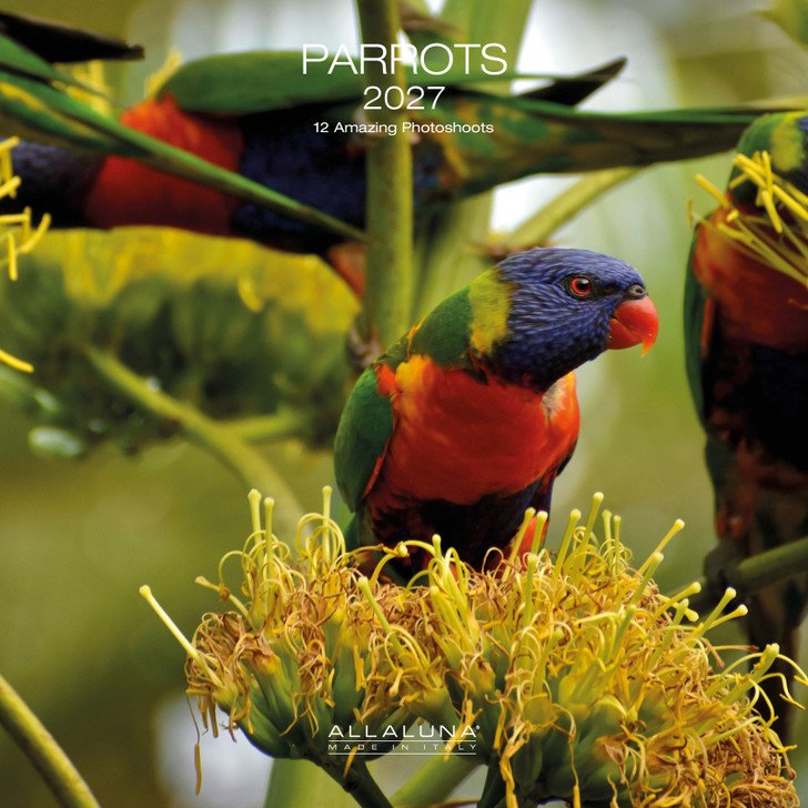 PARROTS 12 x 12 ALLALUNA CALENDAR