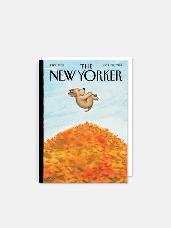 Cannonball | New Yorker Cover Card