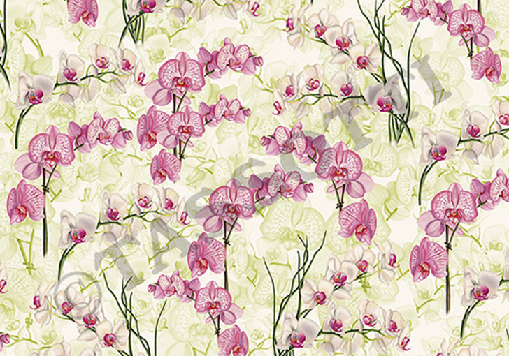 T0472 - ORCHIDS