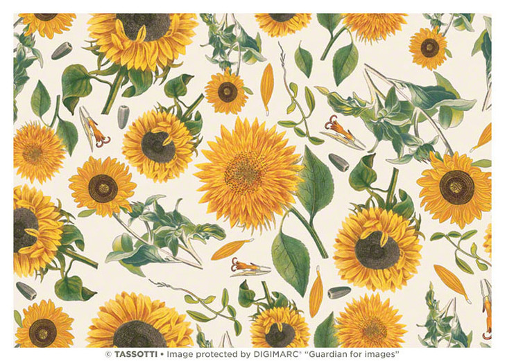 T1726 - SUNFLOWERS