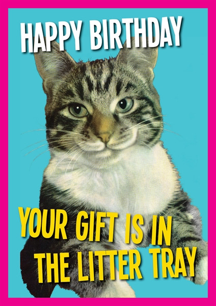 Birthday Litter | Birthday Greeting Card | Kiss Me Kwik