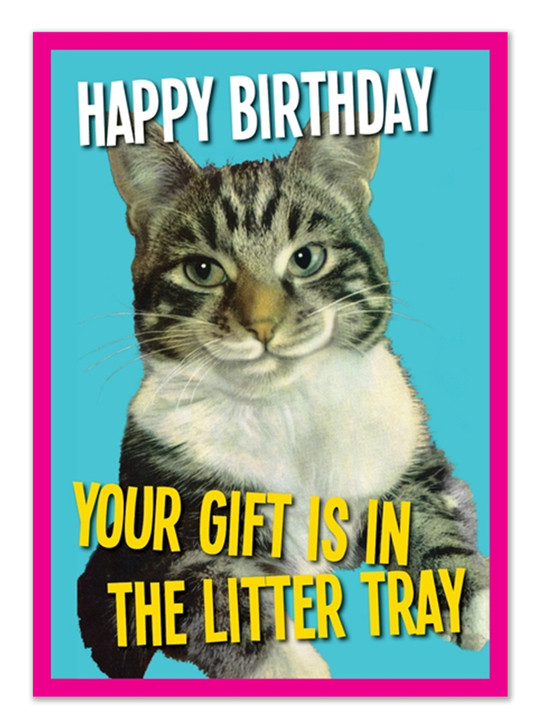 Birthday Litter | Birthday Greeting Card | Kiss Me Kwik