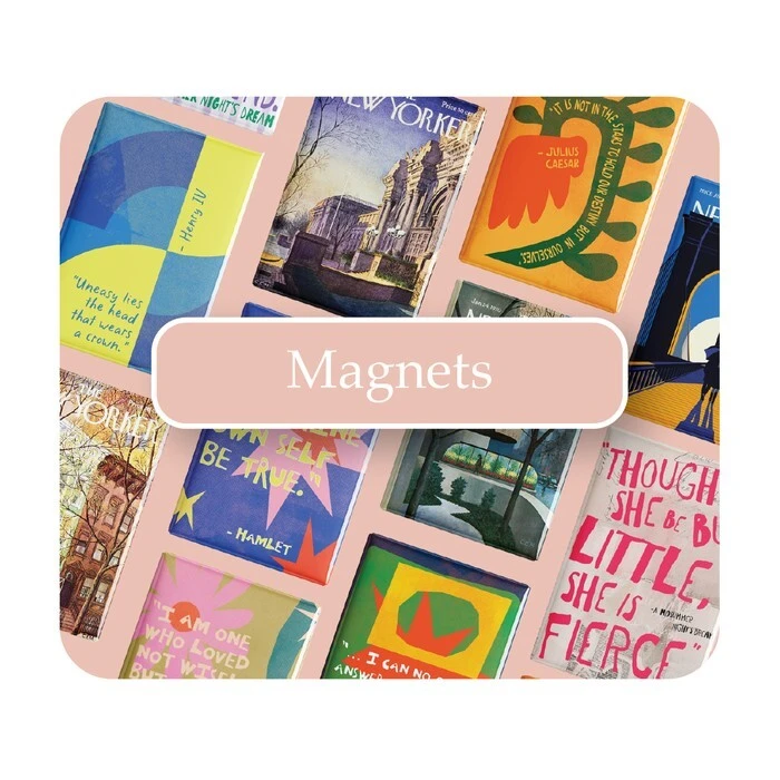 Button to navigate to the magnets collection