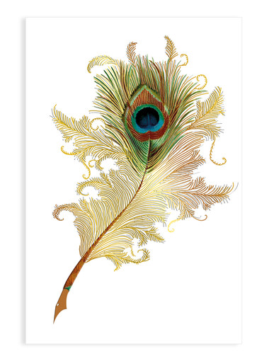 画材 Peacockesque Design Works Peacock - Cross Stitch Kit 2725 - 123Stitch