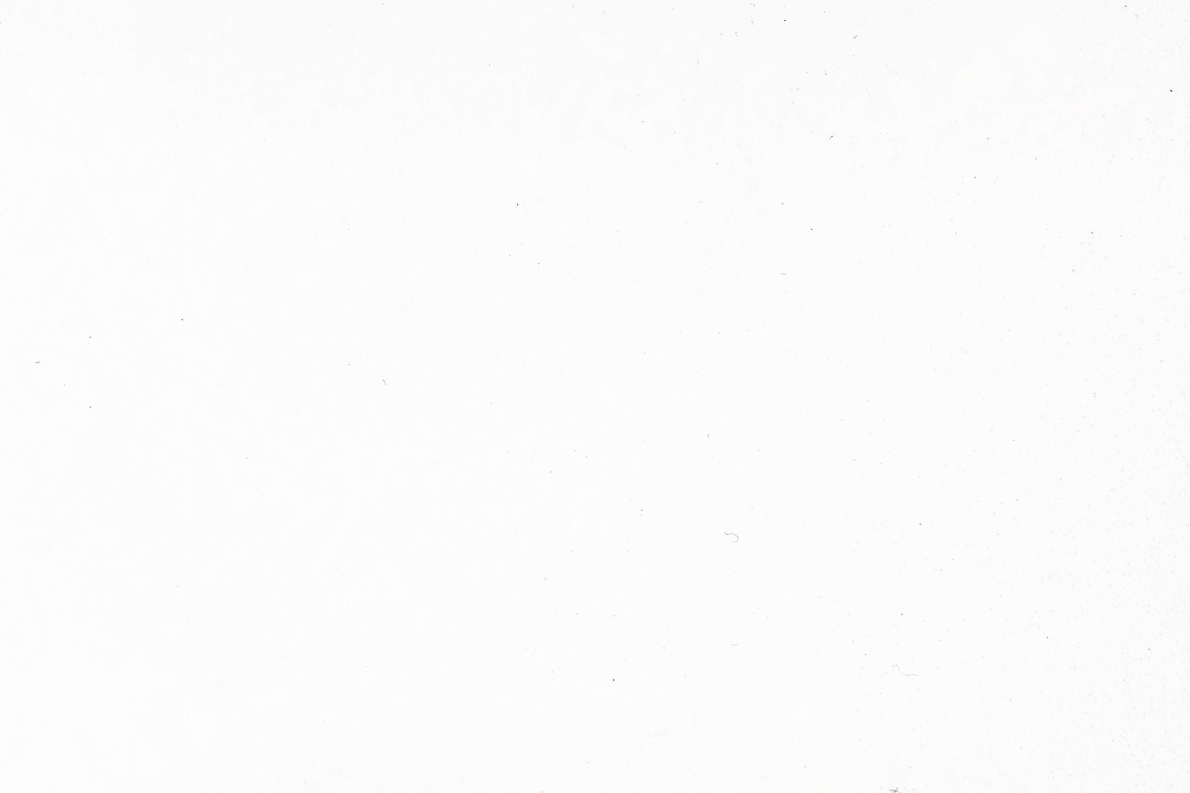 White 1201