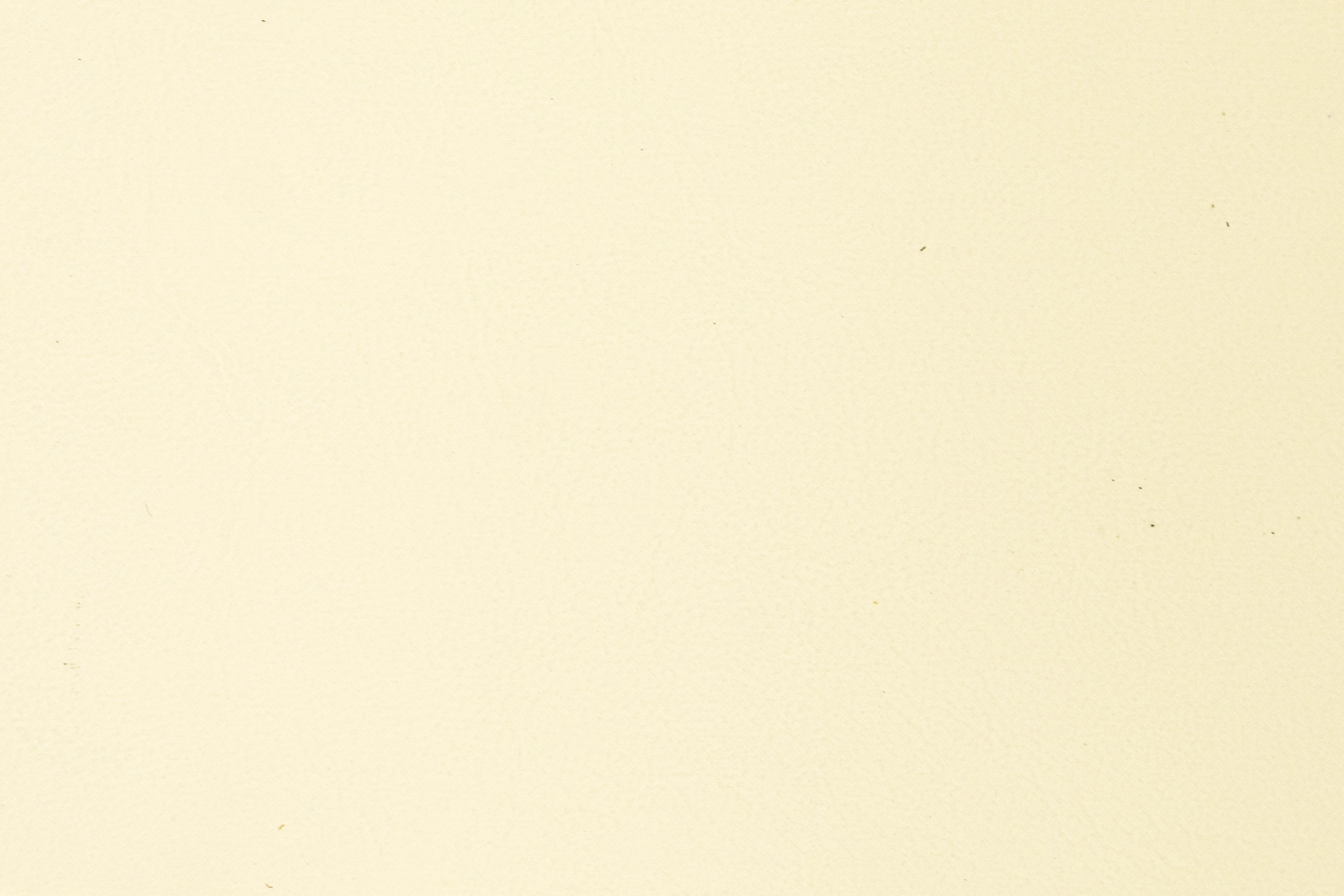 Cream 1202