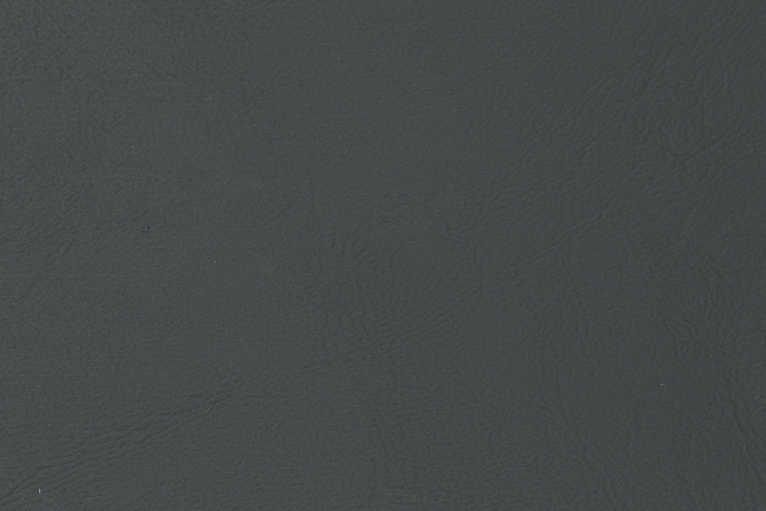 Cruiser Gray 1205