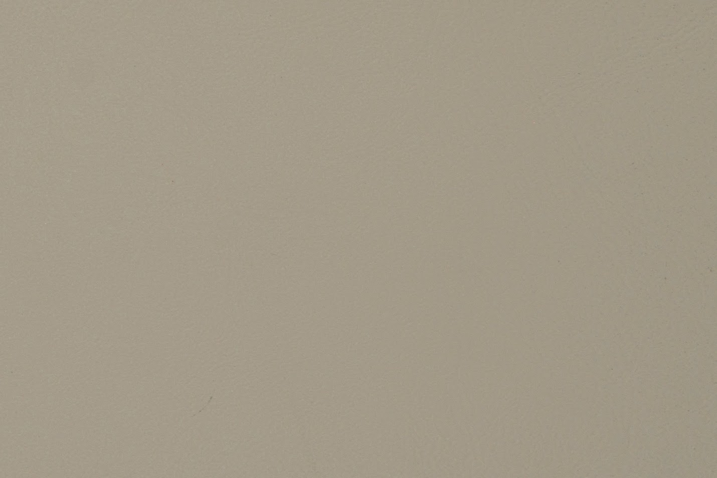 Mist Gray 1286