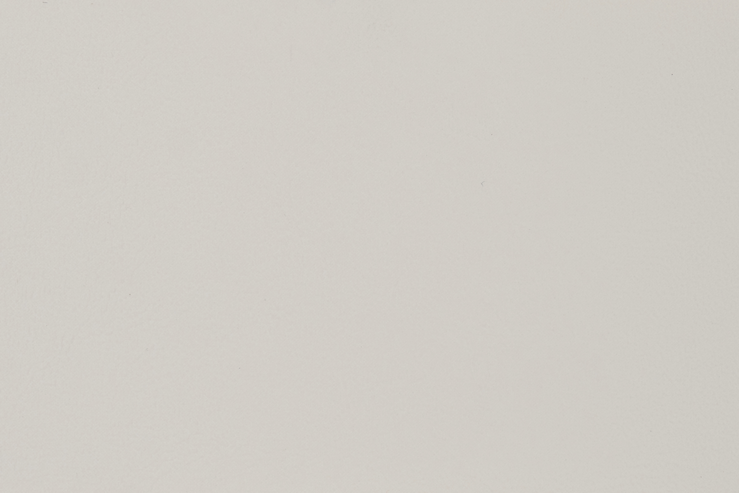 Bone 1281