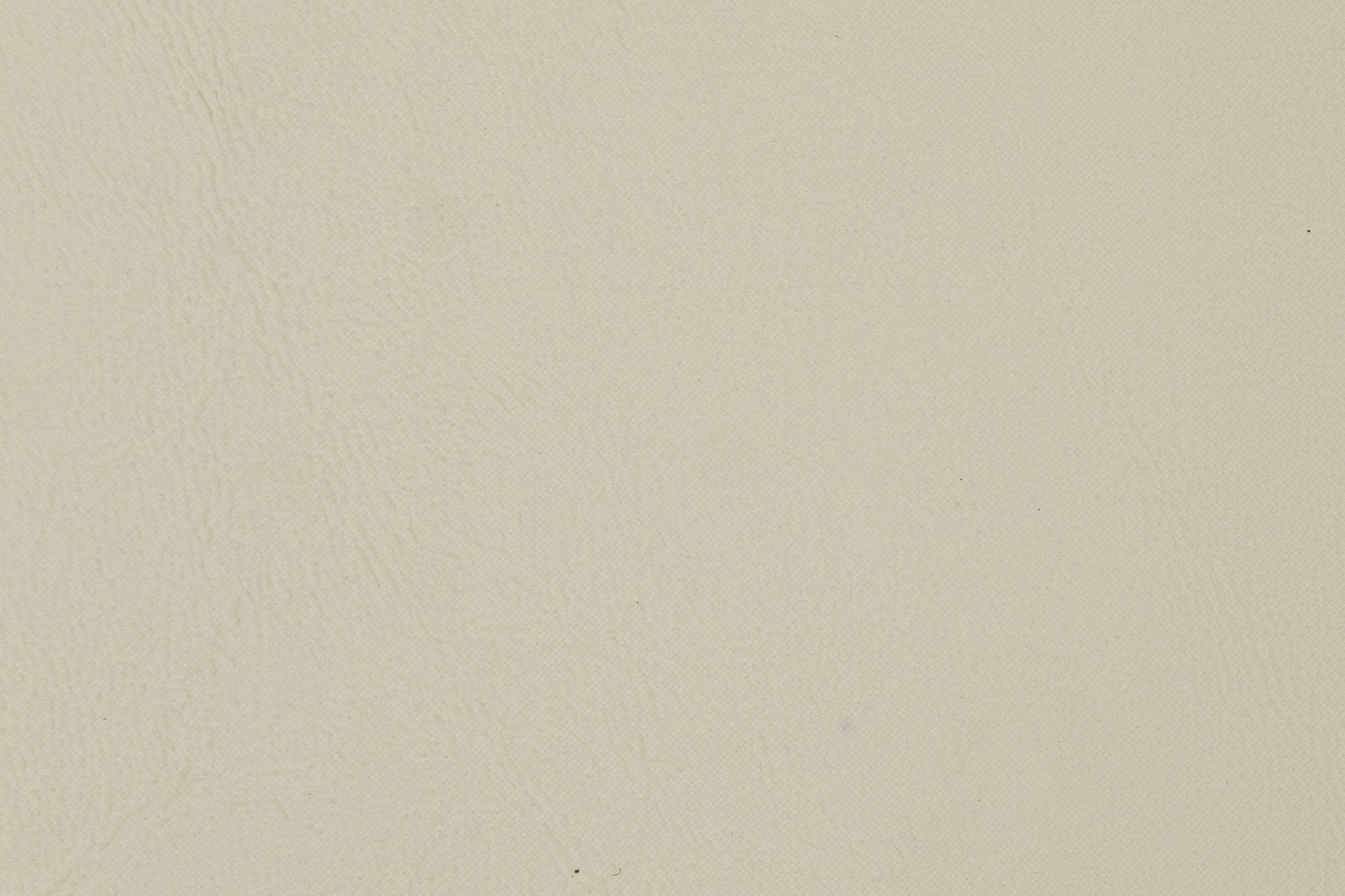 Seashell 1283