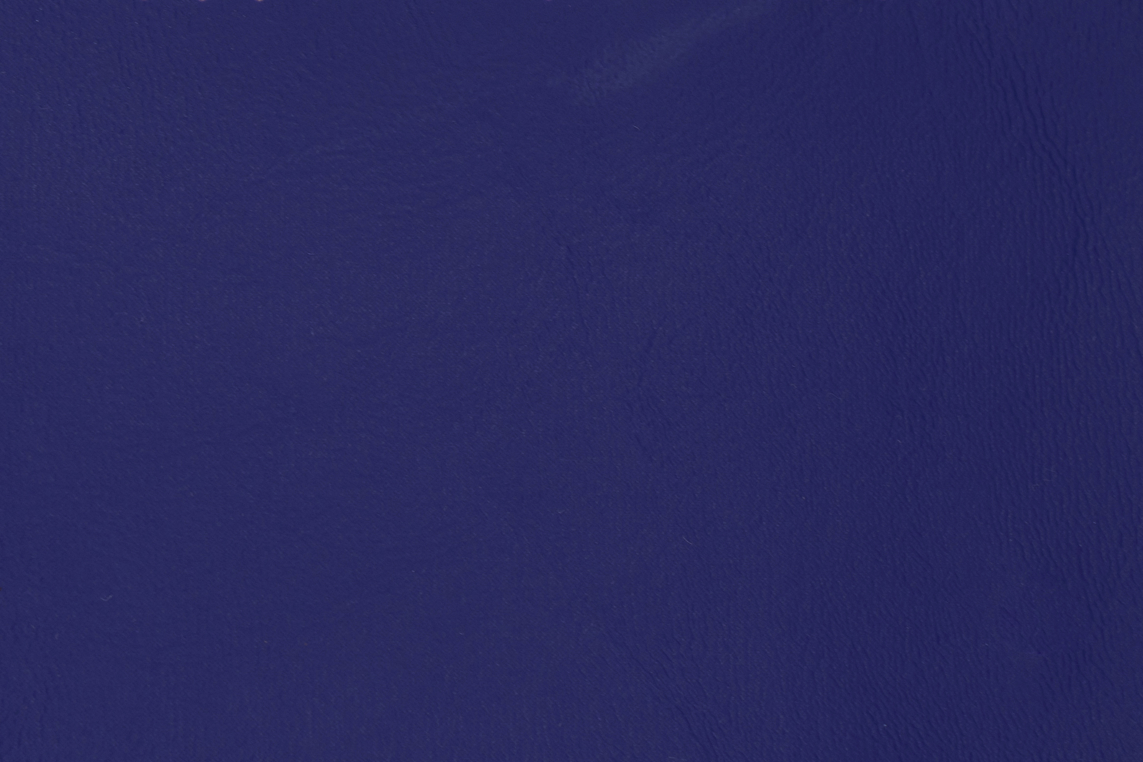 Eggplant 1290