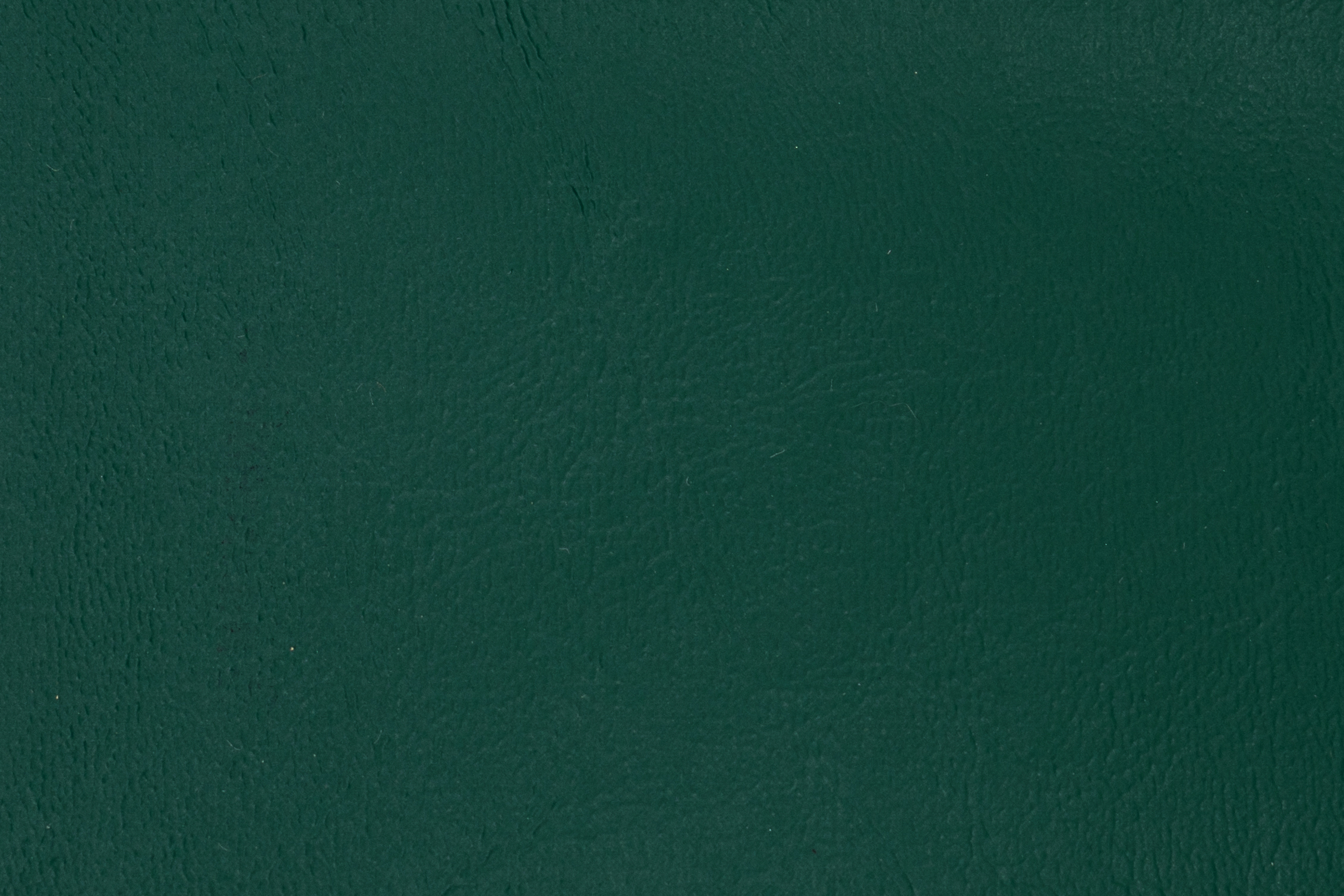 Fern 1292