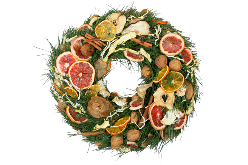 December 2023 The Daily Dose Newsletter