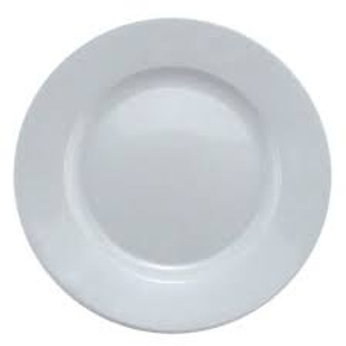 Plates - 10 Dinner Plates