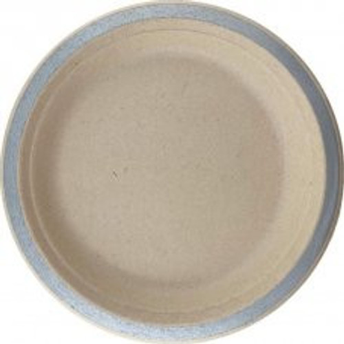 ECO SUGARCANE LUNCH PLATES 230MM SILVER PACK 10