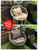 Hanging Hammock Chair Outdoor/Indoor -Cream (Chair & Cushion)