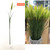 Artificial Plant - AF04#