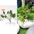 Artificial Plant - AF21#