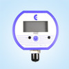 Digital Pressure Calibration Gauge-1000