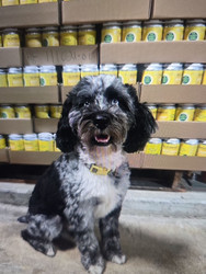 Crack a Can, Pet the Dog and Repeat