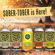 8 Tips for Navigating Your NA Journey This Sober October 