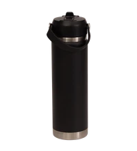Premium Insulated Stainless Steel Water Bottle - 650ml