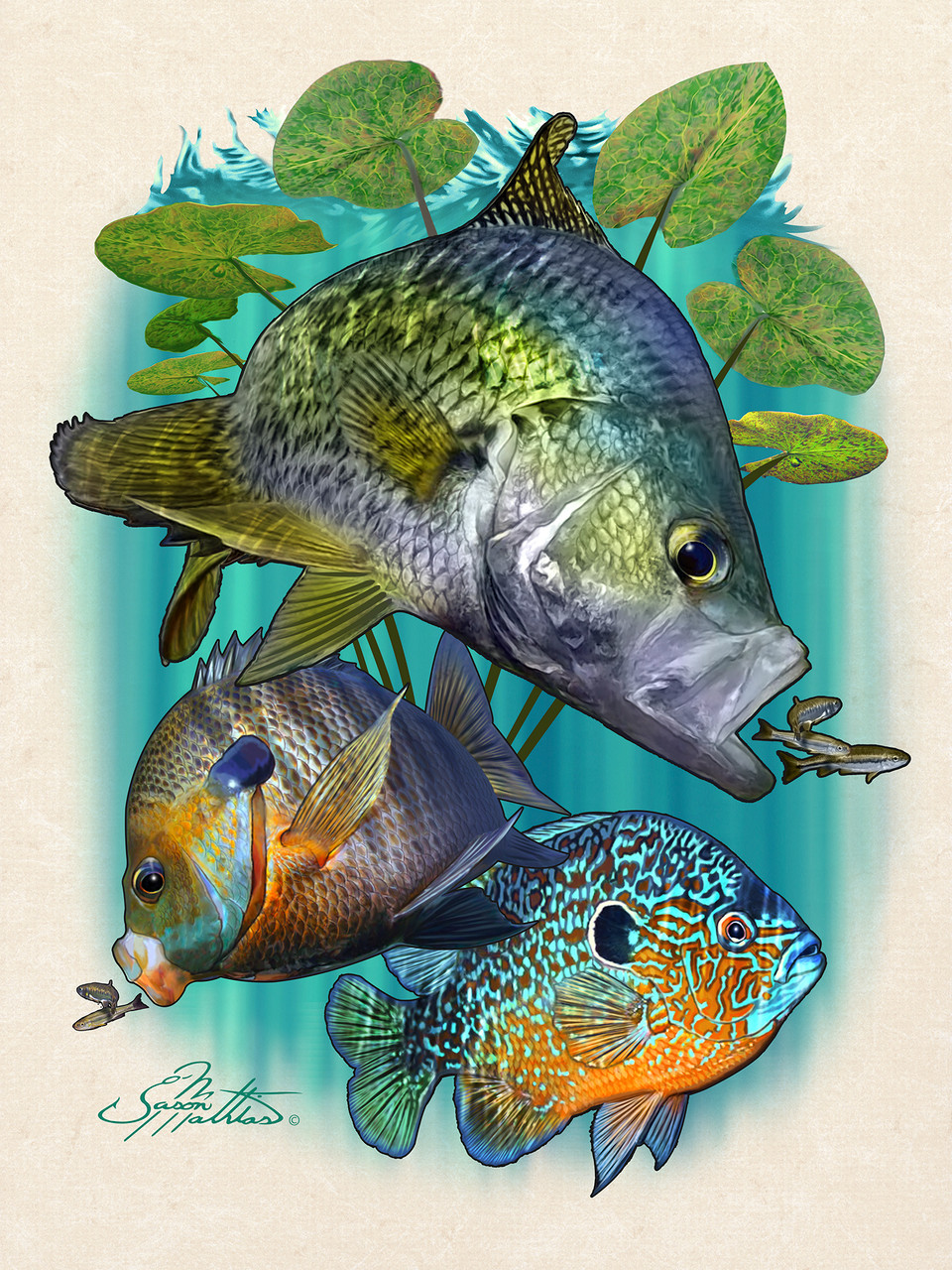 Panfish Slam - Jason Mathias Art Studios