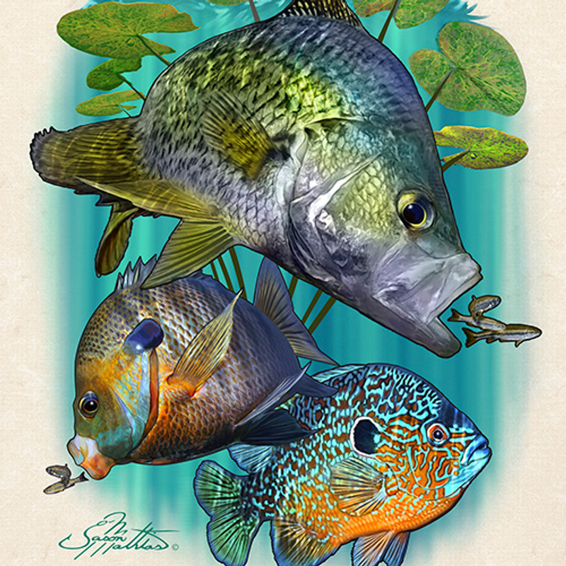 Long Sleeve High Performance shirt (Panfish Slam) - Jason Mathias Art  Studios