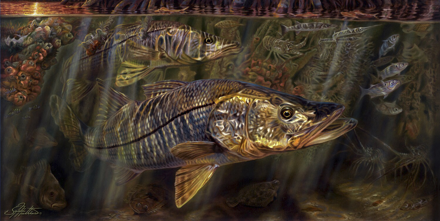 grove, garden, snook, art, painting, underwater, mangrove, scene, sunset, sunrise, jason mathias, art, gamefish, sportfish, fish, art, gift