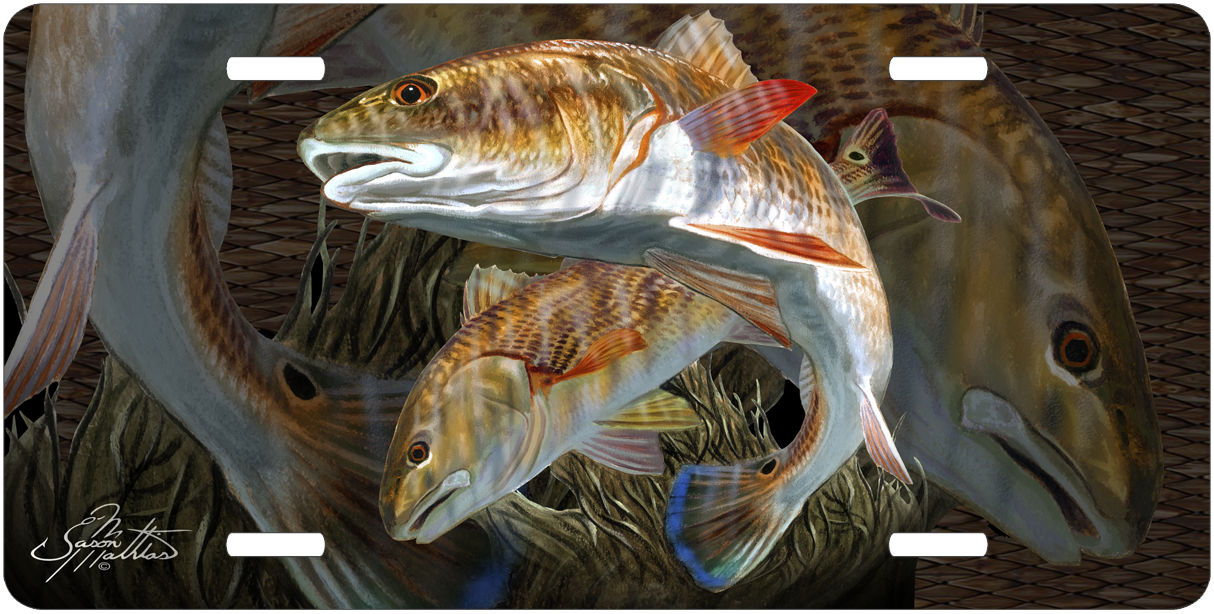 alluminum-license-plate-redfish.png