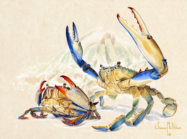 blue-crab.jpg