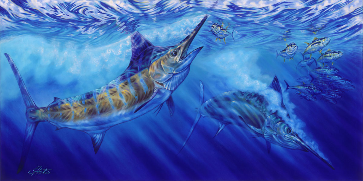 Blue Marlin Fish Postcards (Package of 8)