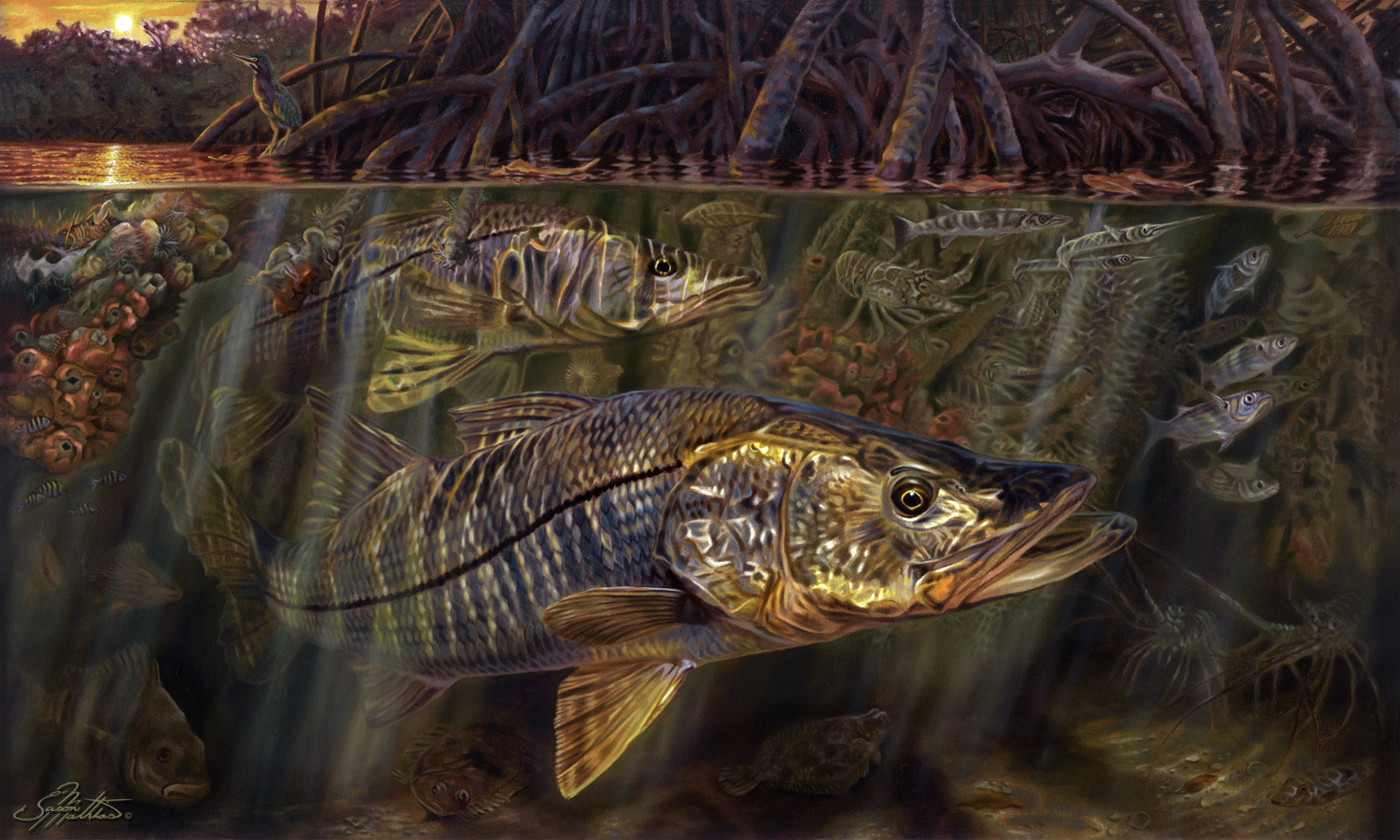 grove-garden-snook-art-painting-underwater-mangrove-scene-sunset-sunrise-jason-mathias-art-gamefish-sportfish-fishart-gift.jpg