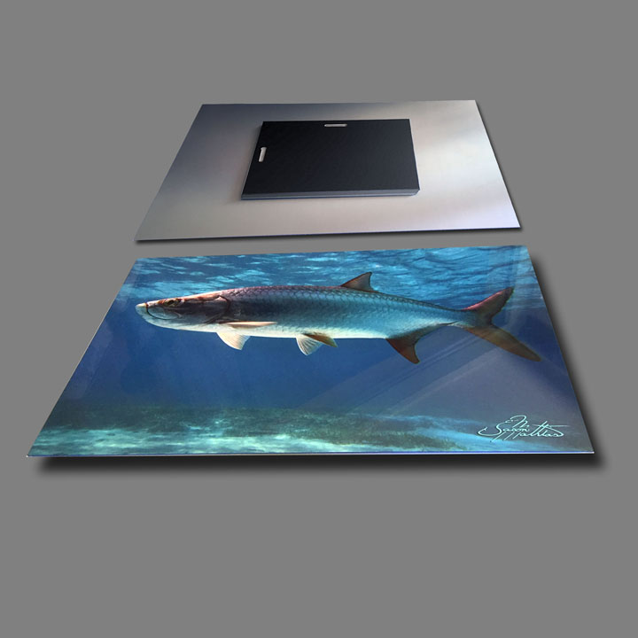 jason-mathias-metal-photography-print-tarpon.jpg