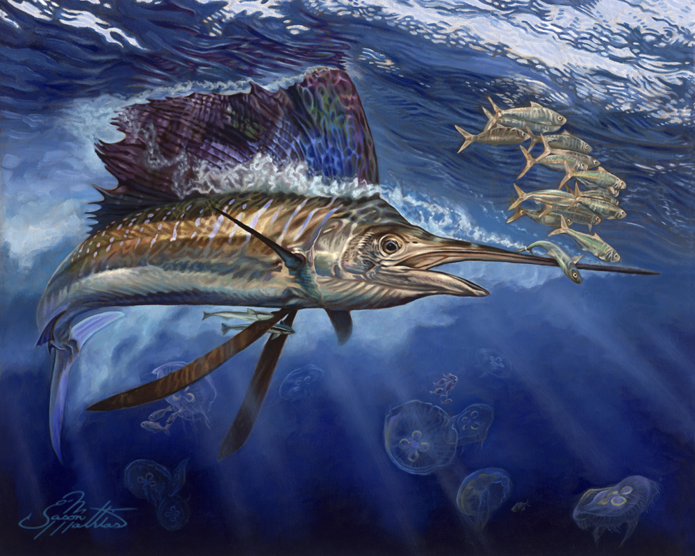 sailfish-jason-mathias-art-majesty.jpg