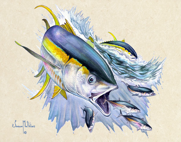 yellowfin.jpg