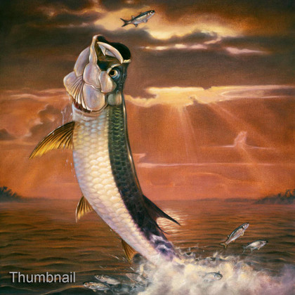Golden Motion（ゴールデン・モーション） インテリアアート Tarpon_sunset_thumbnail__17546