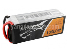 Gens Tattu 10000mAh 6S 25C 22.2V Lipo Battery Pack With AS150 Plug