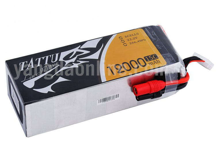 12000mah-6s-15c-as150-xt150-1.jpg