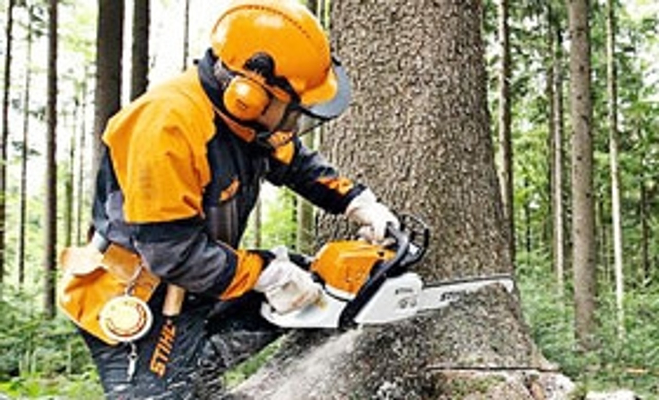 Forestry Chainsaws