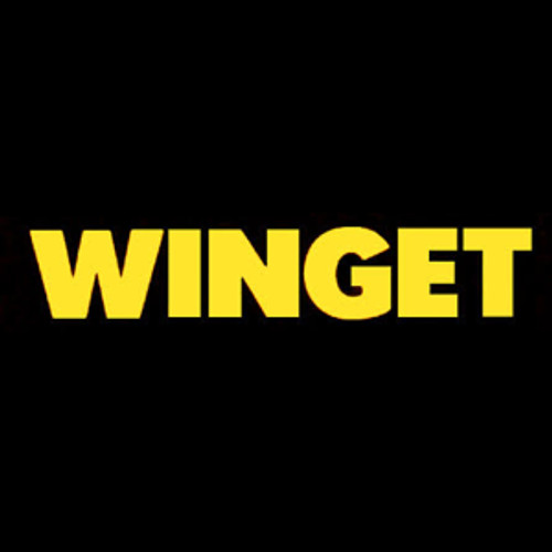 Hub Centre Gasket for Winget 100T - 513202800