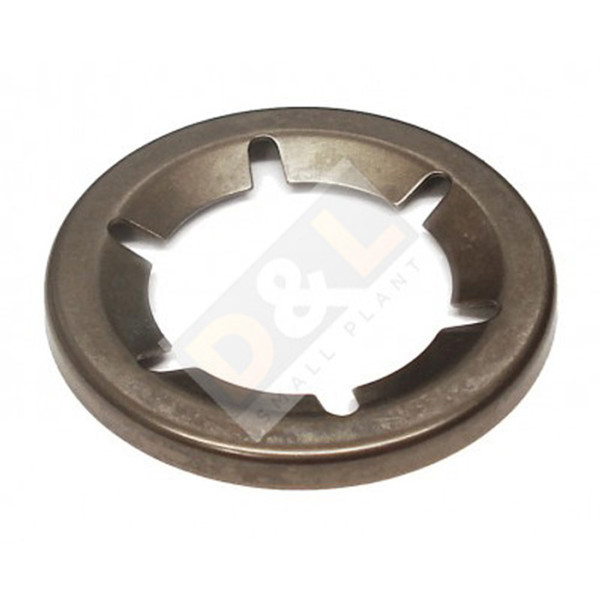 Starlock 17 Dia Washer for Belle Minimix 150 - 4/1701