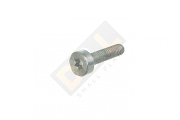 Spline screw M5x20 for Stihl TS400 - 9022 371 1020
